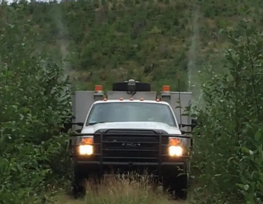 Forestry Vegetation Services